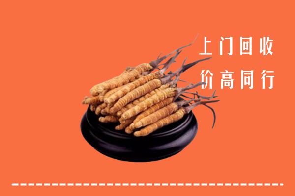 高价求购：武川县回收散虫草