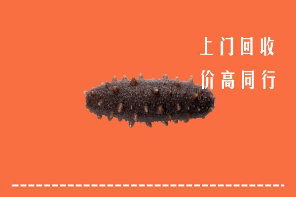 高价求购：武川县回收海参