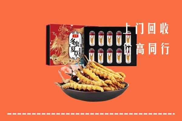 武川县回收虫草